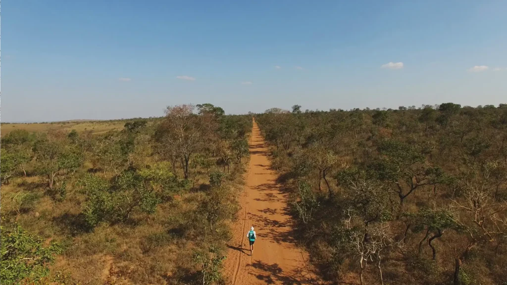 Estrada no cerrado (vista aérea)