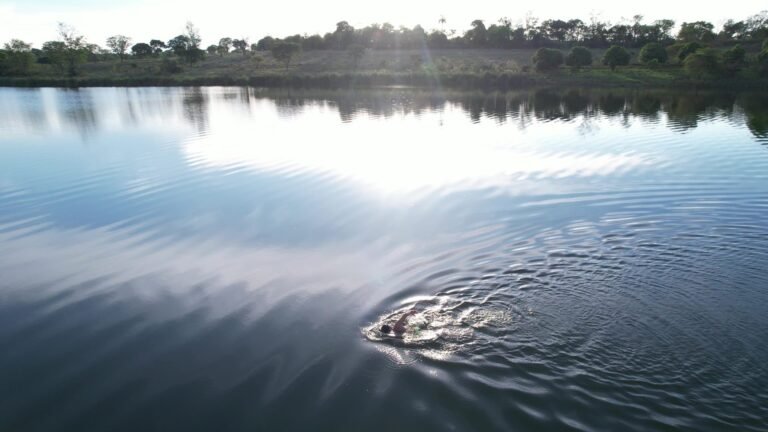Nadador na lagoa – Festival Homem da Terra 2026